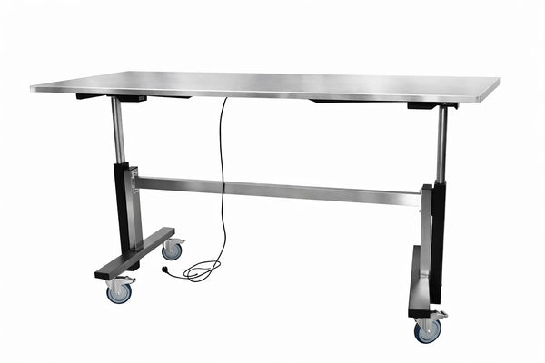 ELEKTRISK ARBEIDSBORD I RUSTFRITT STÅL